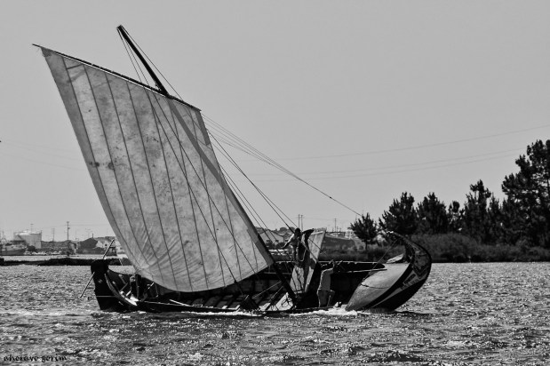 os moliceiros têm vela&nbsp;(361)