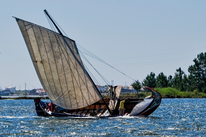 0 ahcravo_DSC_4900 s1