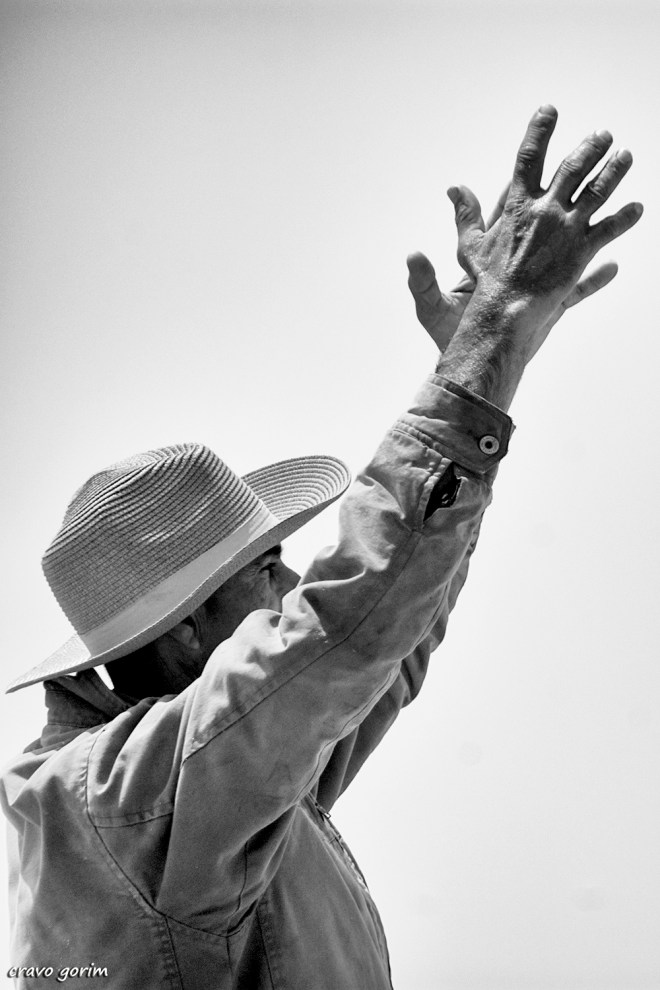 0 ahcravo DSC_8066.jpg