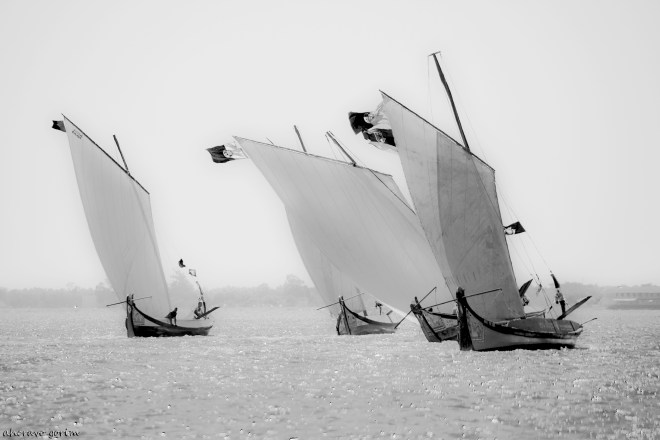 0 ahcravo_ DSC_4134 bw