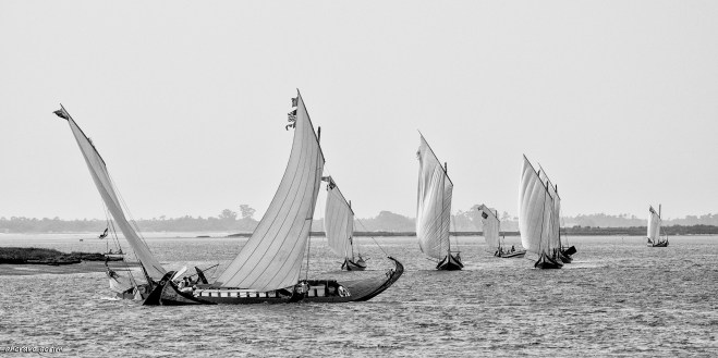 0 ahcravo_DSC3676 bw.jpg