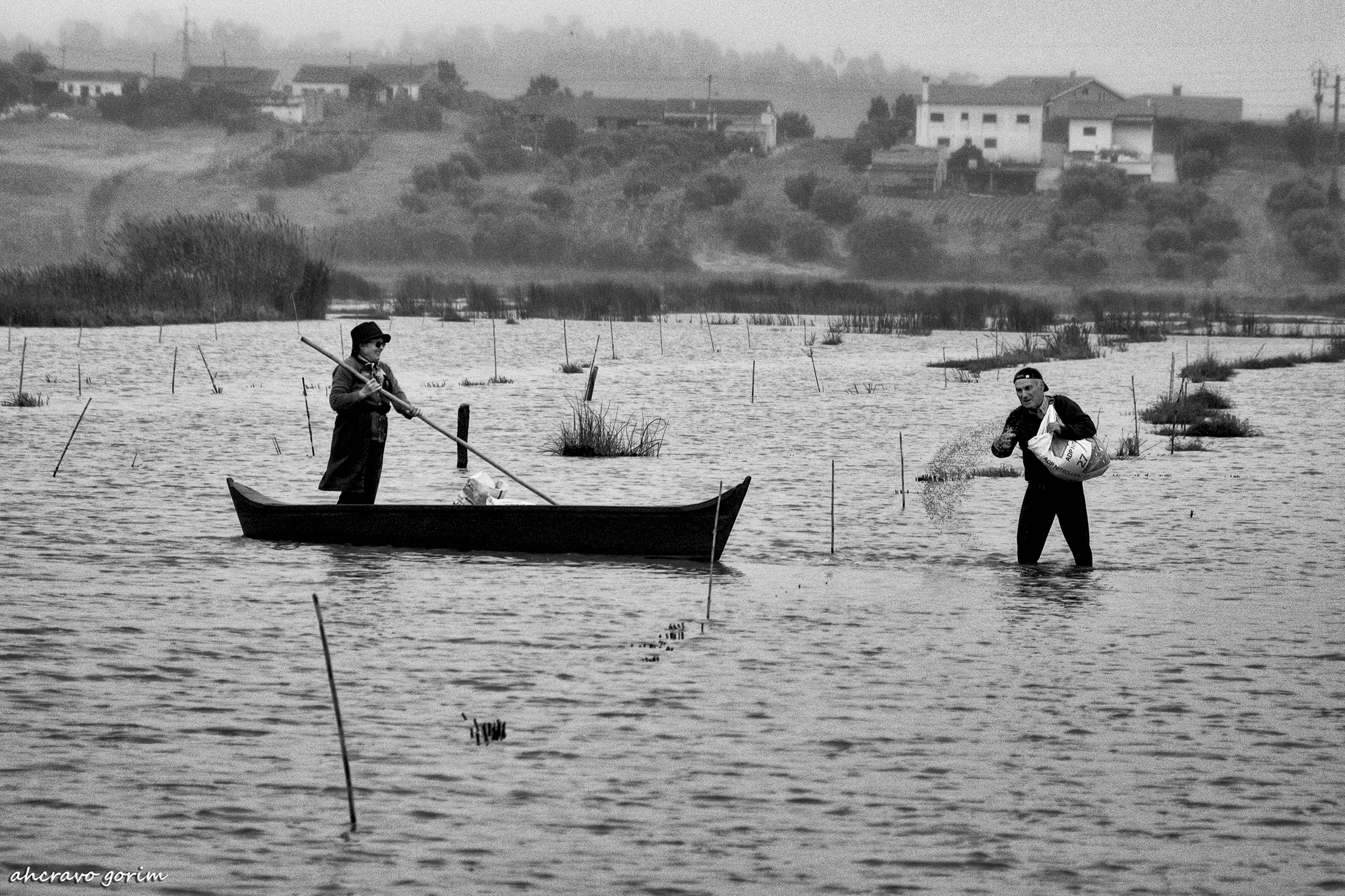 0 ahcravo_DSC6841.jpg