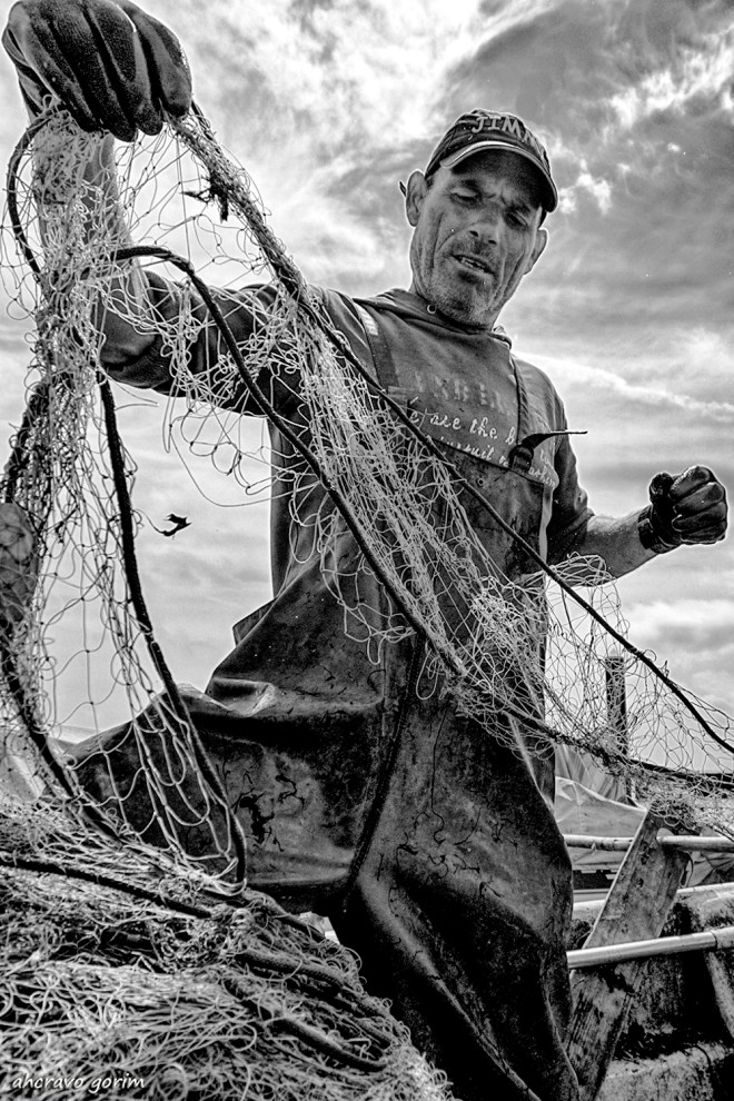 0 ahcravo_DSC9131.jpg