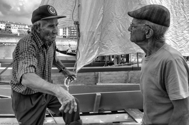 os moliceiros têm vela&nbsp;(365)