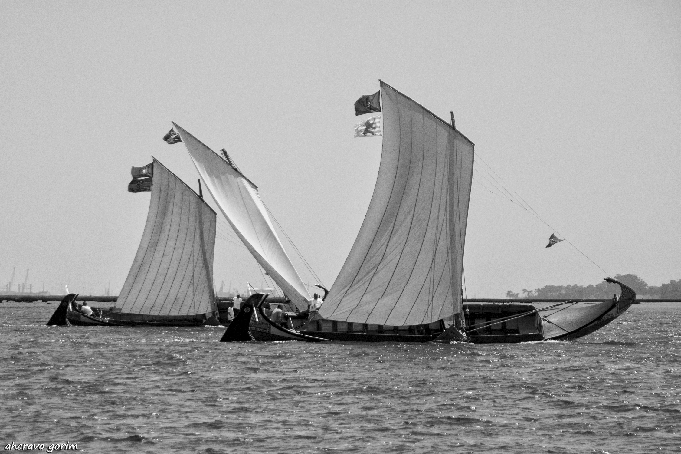 0 ahcravo_DSC_7886bw.jpg