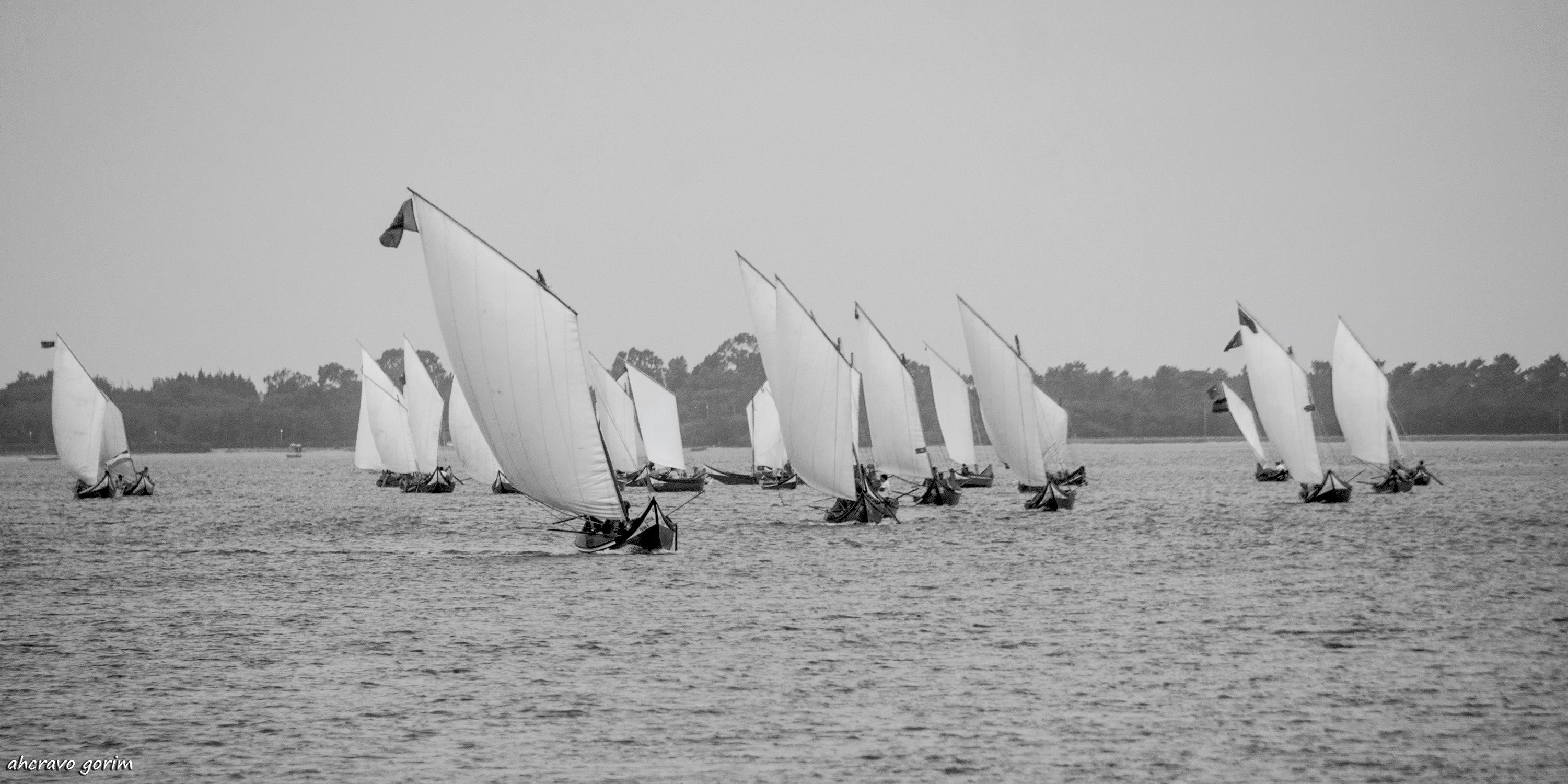 0 ahcravo_ DSC_8149_a