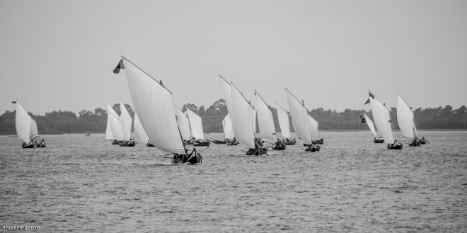 0 ahcravo_ DSC_8149_a