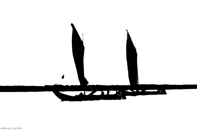 0 ahcravo DSC_8314_1