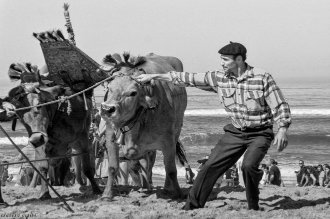 0 ahcravo_ DSC_2924 s