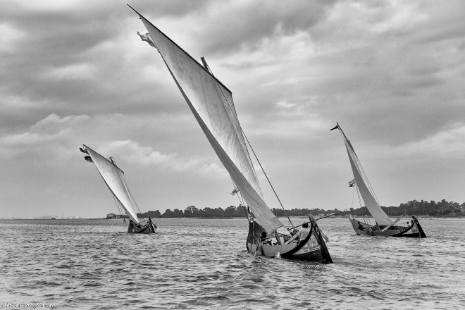 0 ahcravo_DSC1544 bw