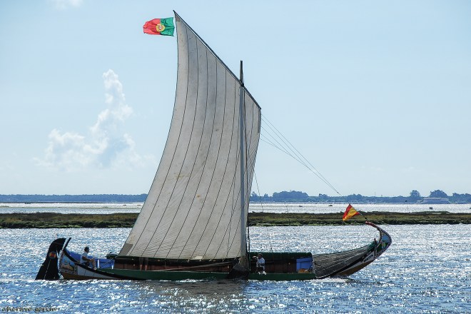 0 ahcravo_ DSC_1489 s