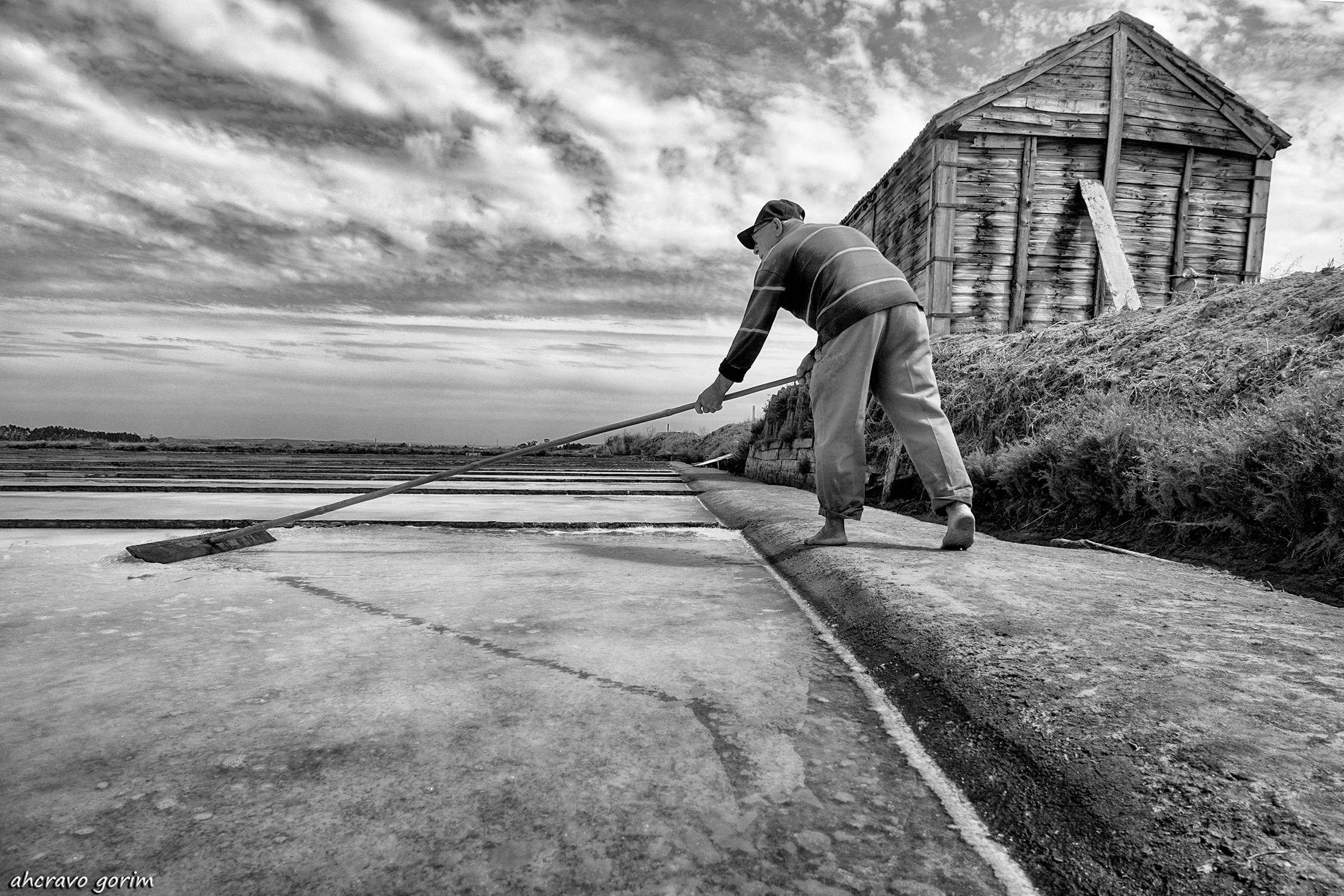 0 ahcravo_DSC0602.jpg