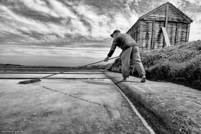 0 ahcravo_DSC0602.jpg