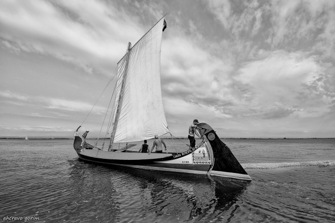 0 ahcravo_DSC9319 bw.jpg