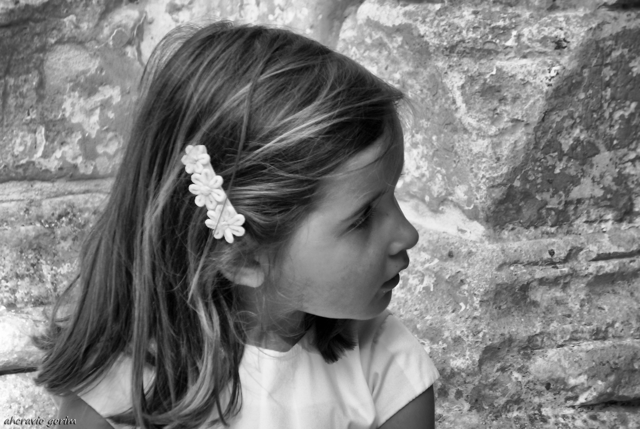 0 ahcravo_DSC_0805_2011 carminho