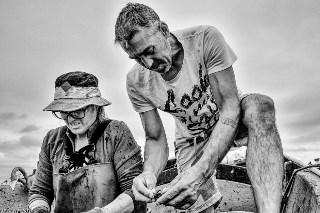 0 ahcravo_ DSC_3011 s