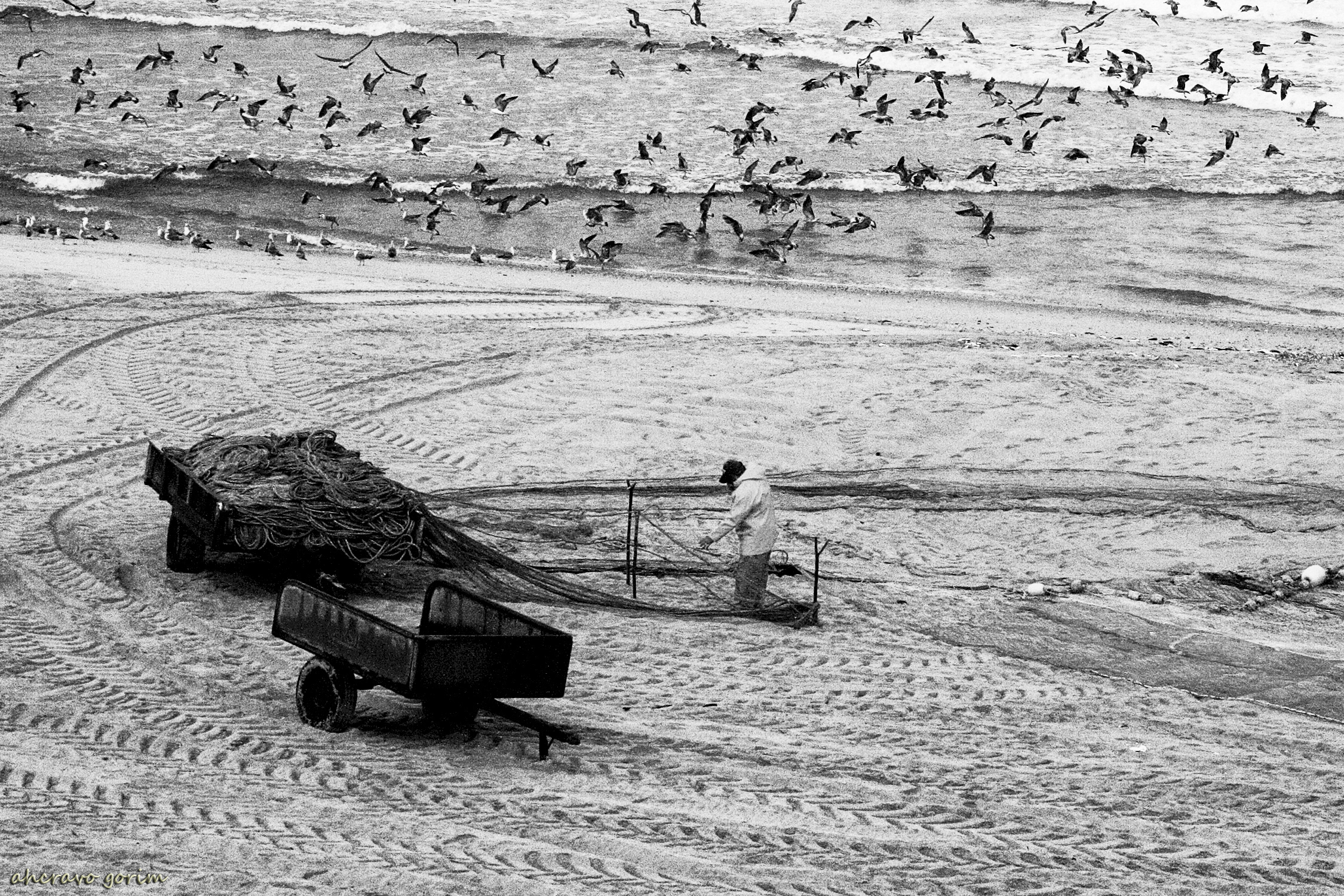 0 ahcravo_ Imagem 227 mira.jpg