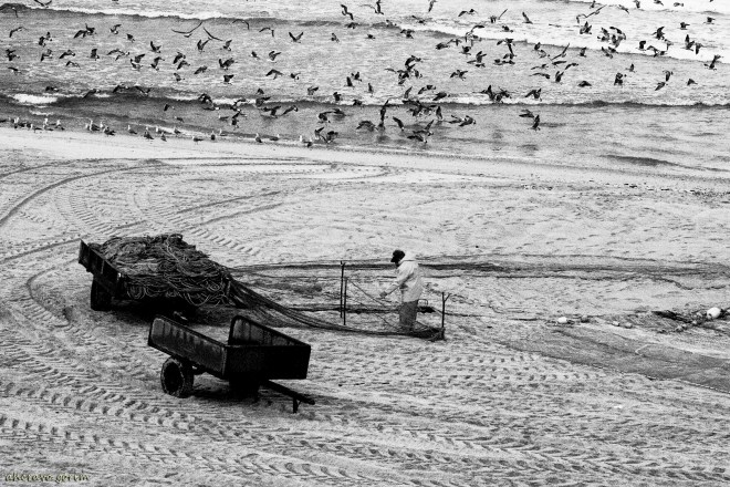 0 ahcravo_ Imagem 227 mira.jpg