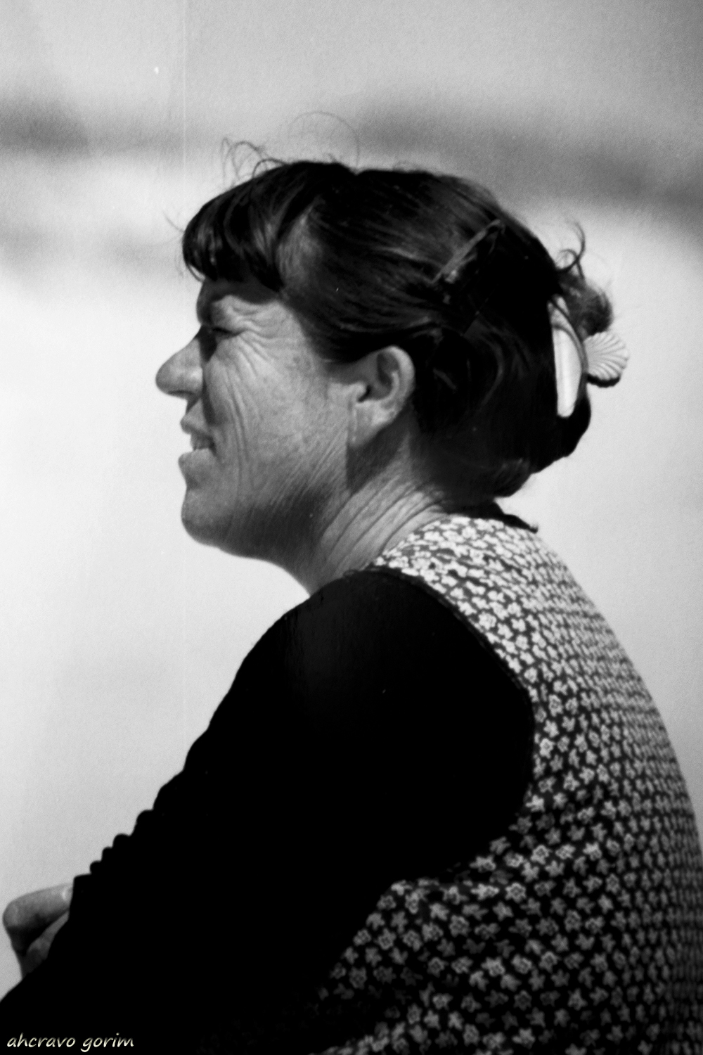 0 ahcravo_DSC0219-bina bitaolra