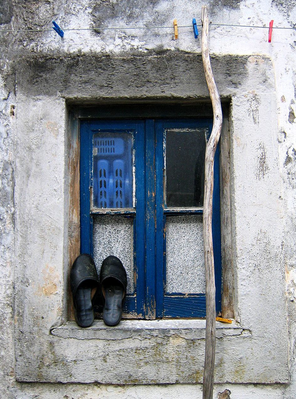 0 ahcravo_olhares janela orelhudo