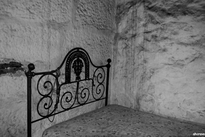 ahcravo_olhares DSC_0327 macieira bw