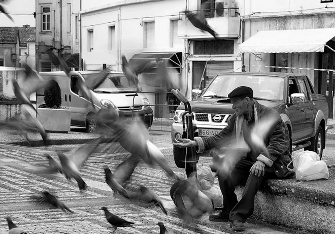 olhares DSCN7511 homem pombos condeixa a