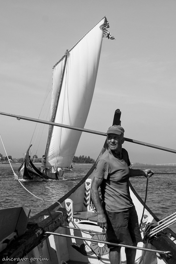 os moliceiros têm vela&nbsp;(391)