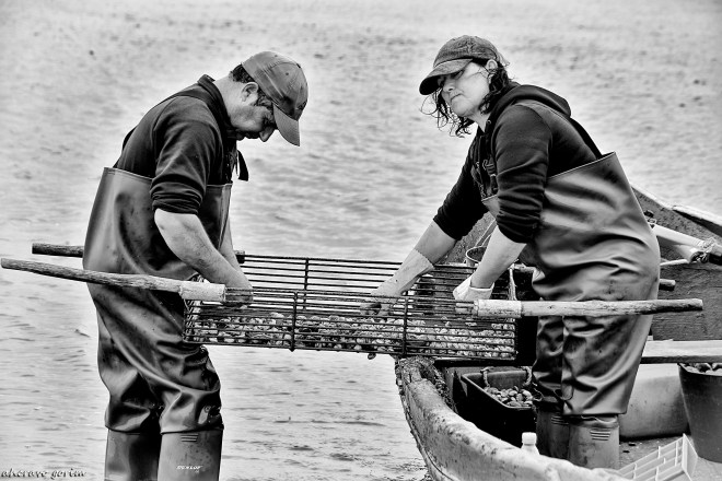 0 ahcravo_DSC_0852_2013