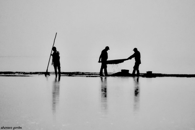 0 ahcravo_DSC_7541 s