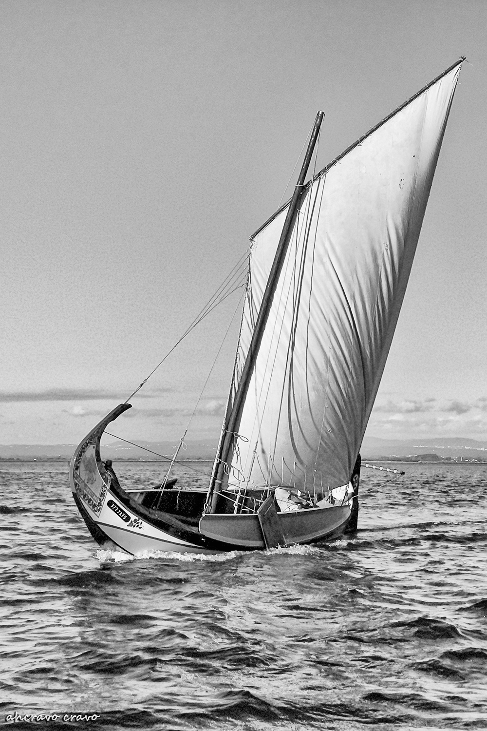 0 ahcravo_DSC_0447 bw