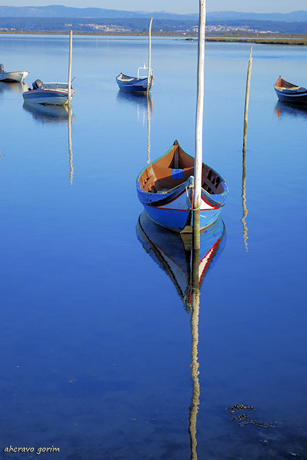 0 ahcravo_DSC_0628 bateiras chegado