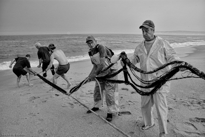 0 ahcravo_DSC_2437 sbw