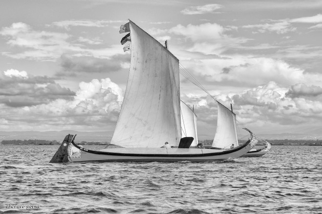 0 ahcravo_DSC_5960 bw