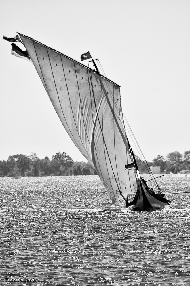 0 ahcravo_DSC_7684 s bw