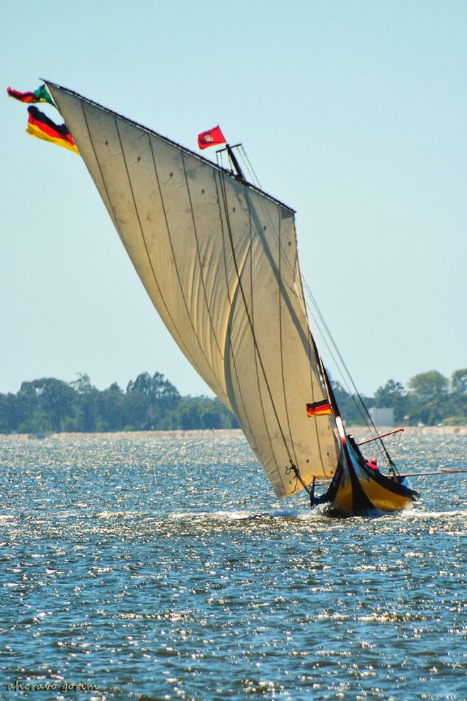 0 ahcravo_DSC_7684 s