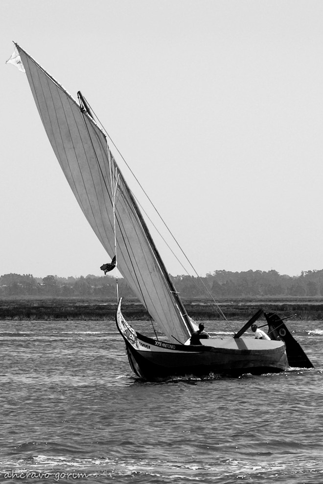 0 ahcravo_DSCN9245 a bw