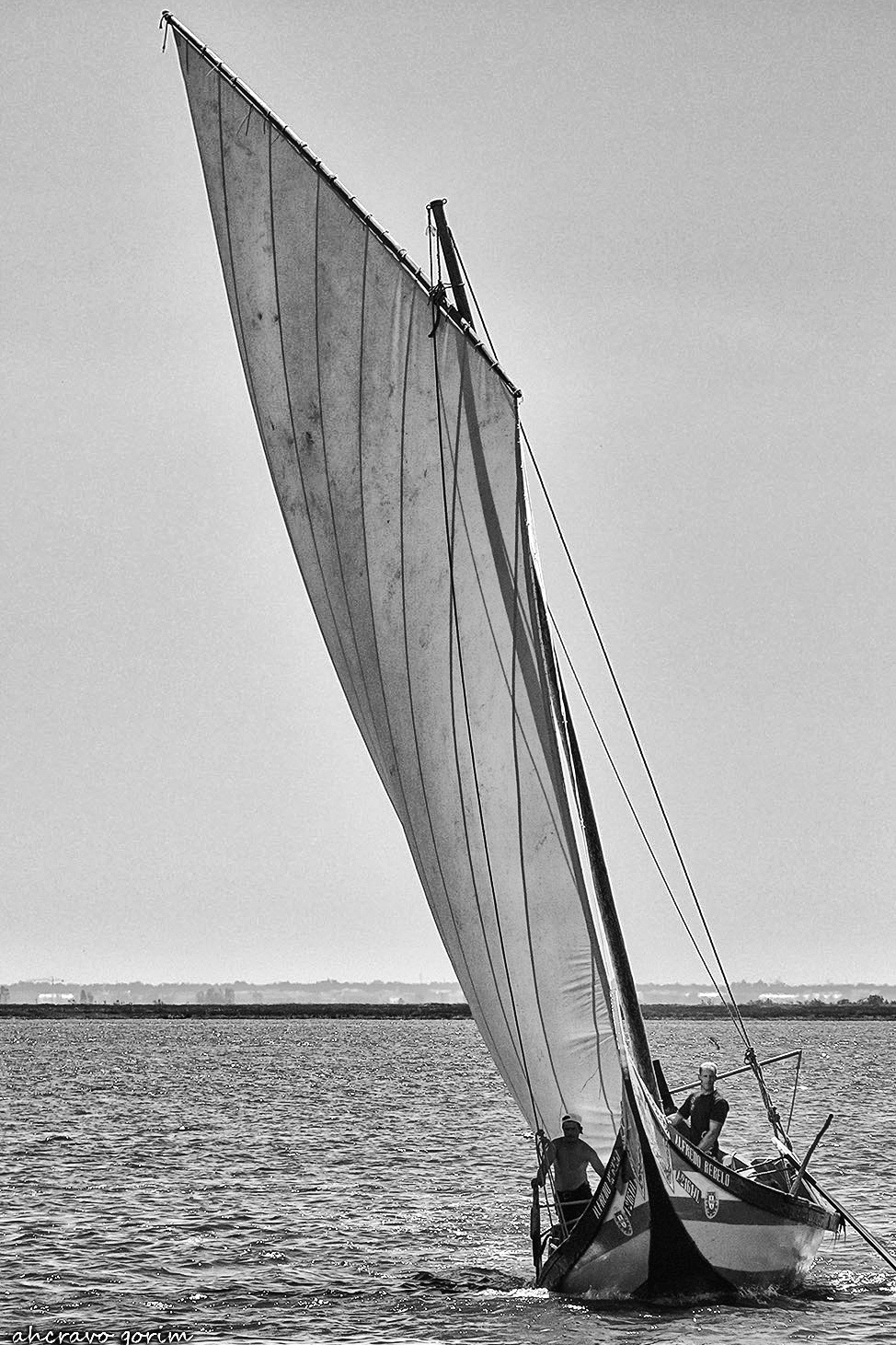 0 ahcravo_DSCN9261 bw