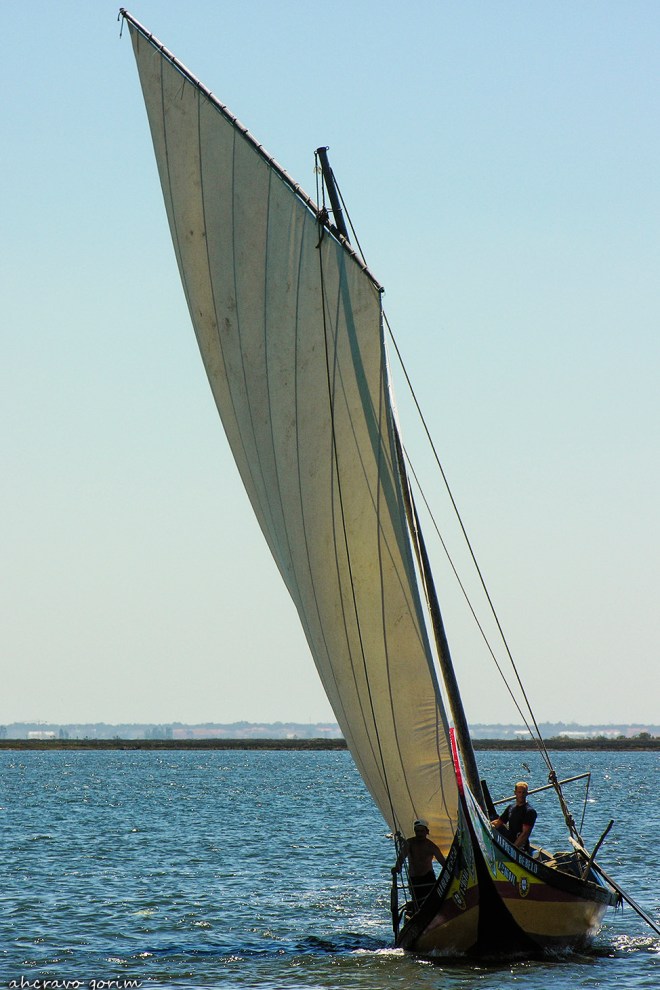 0 ahcravo_DSCN9261 c