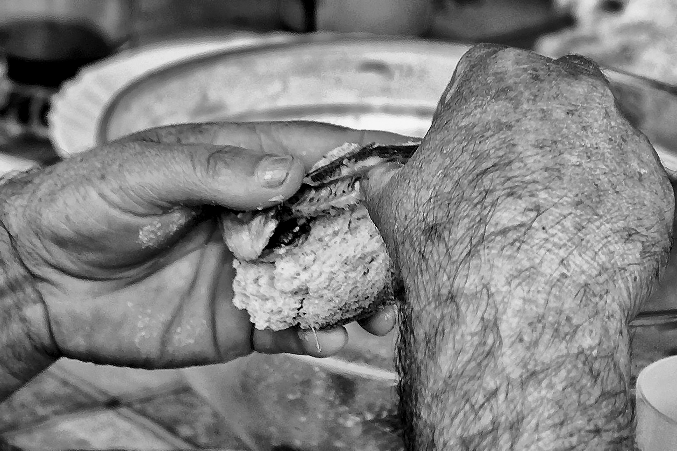 KONICA MINOLTA DIGITAL CAMERA