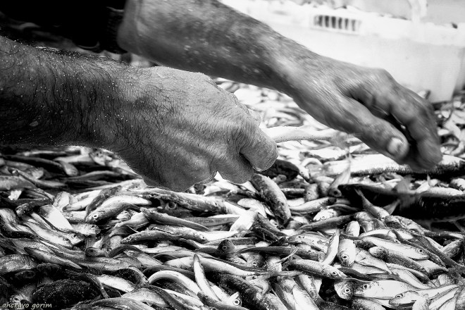 KONICA MINOLTA DIGITAL CAMERA