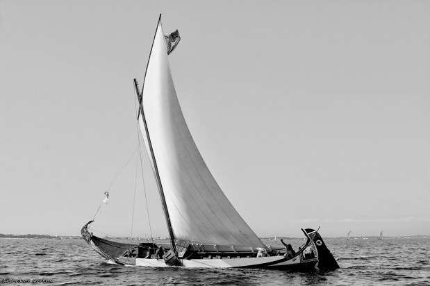 os moliceiros têm vela&nbsp;(406)