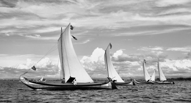 0 ahcravo_DSC_6101 bw