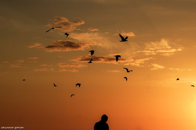 KONICA MINOLTA DIGITAL CAMERA