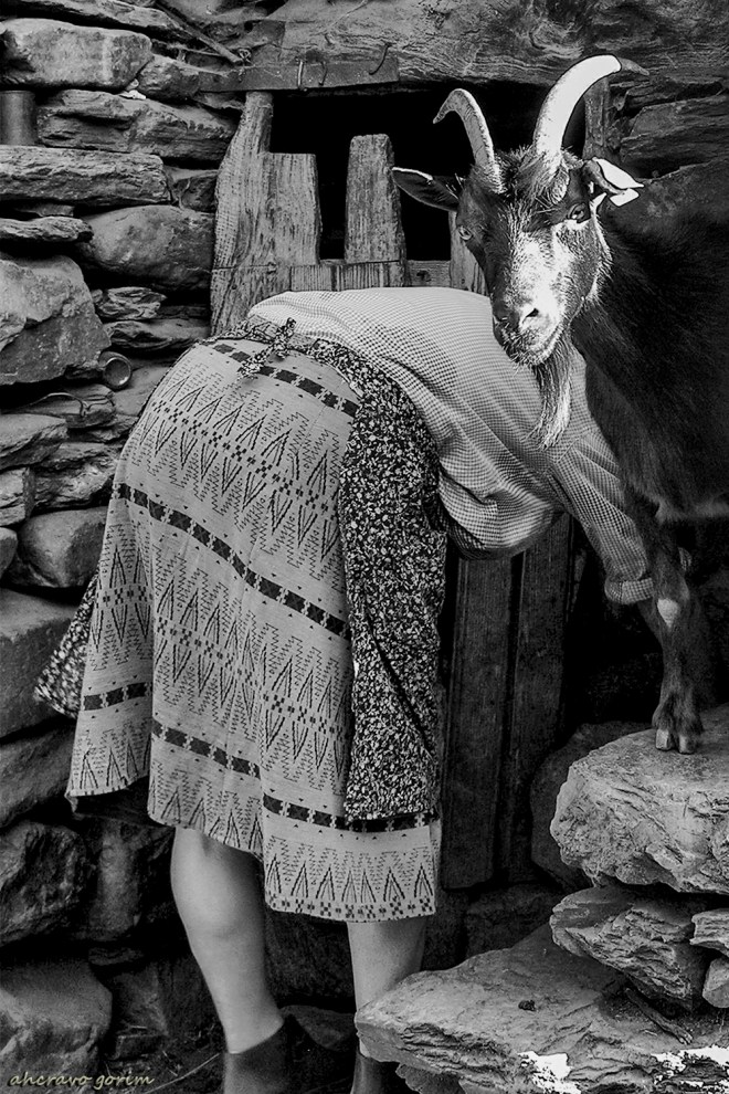 0 ahcravo_DSCN0003 covas do monte s