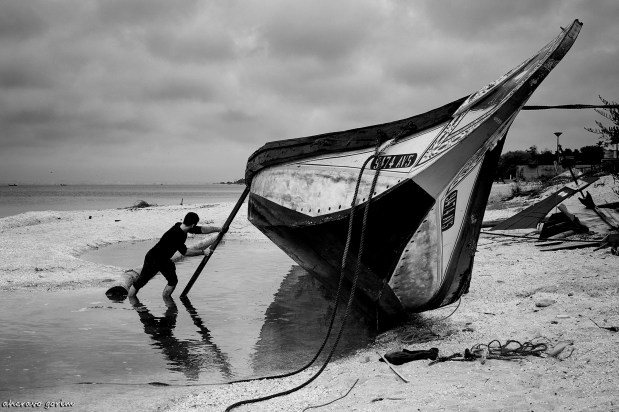 os moliceiros têm vela&nbsp;(445)