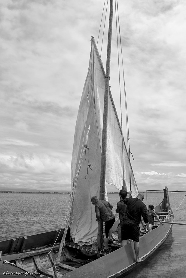 os moliceiros têm vela&nbsp;(452)