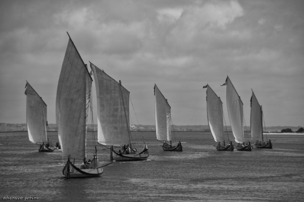 os moliceiros têm vela&nbsp;(454)