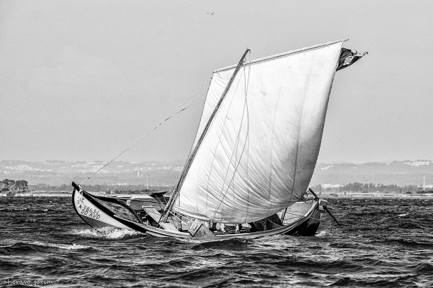 postais da ria&nbsp;(394)