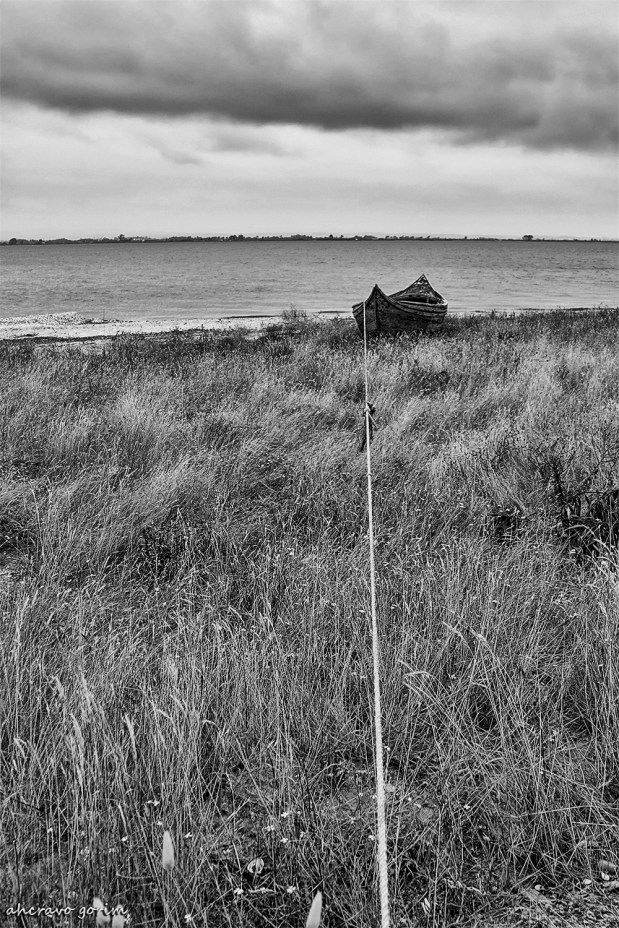 postais da ria&nbsp;(401)