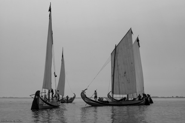 os moliceiros têm vela&nbsp;(476)